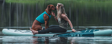 Dog Cooling Gear