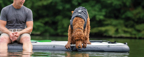 Swim Vest