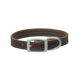 Bridle Leather Dog Collar, Hurricane Blue Stitching