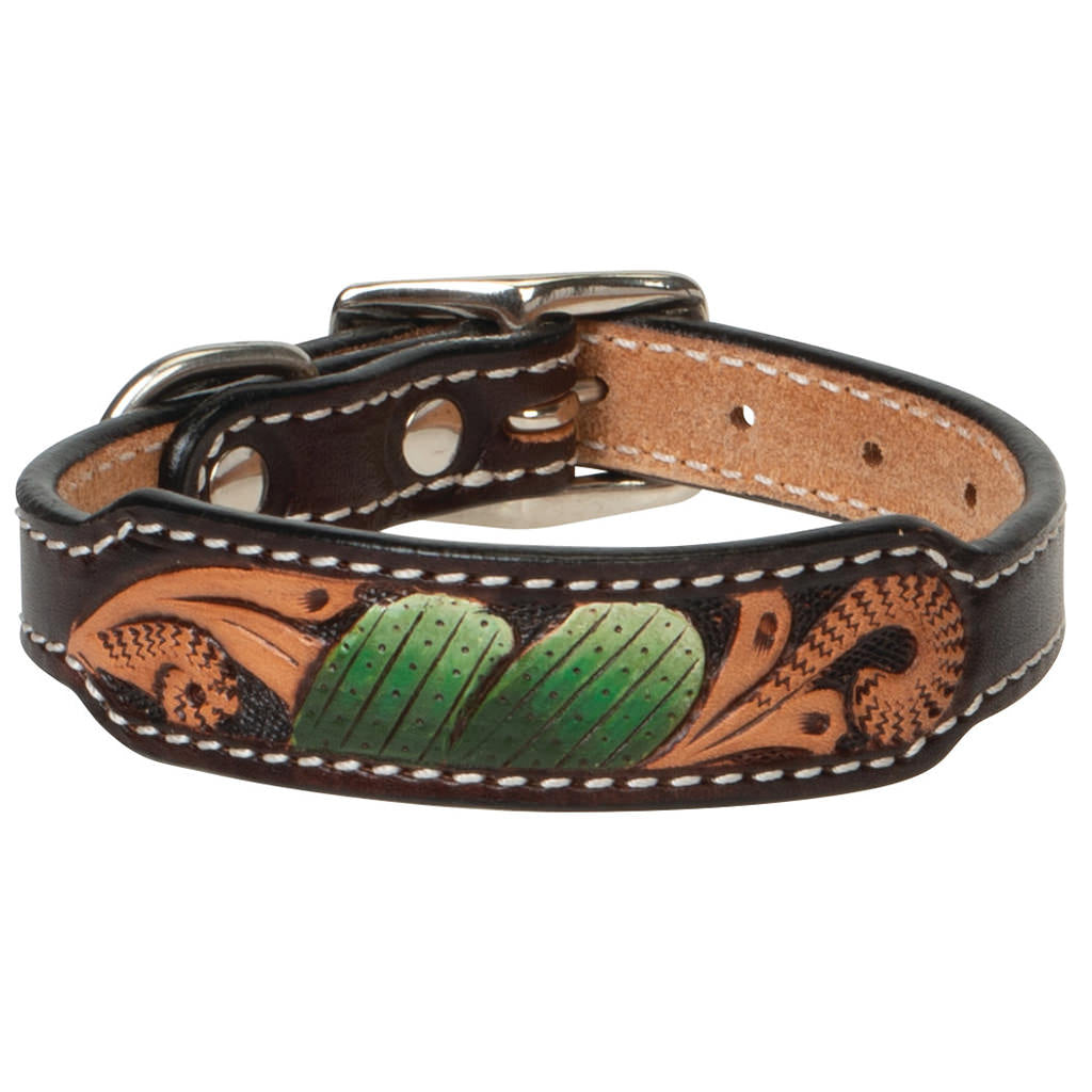 Painted Cactus Leather Collar