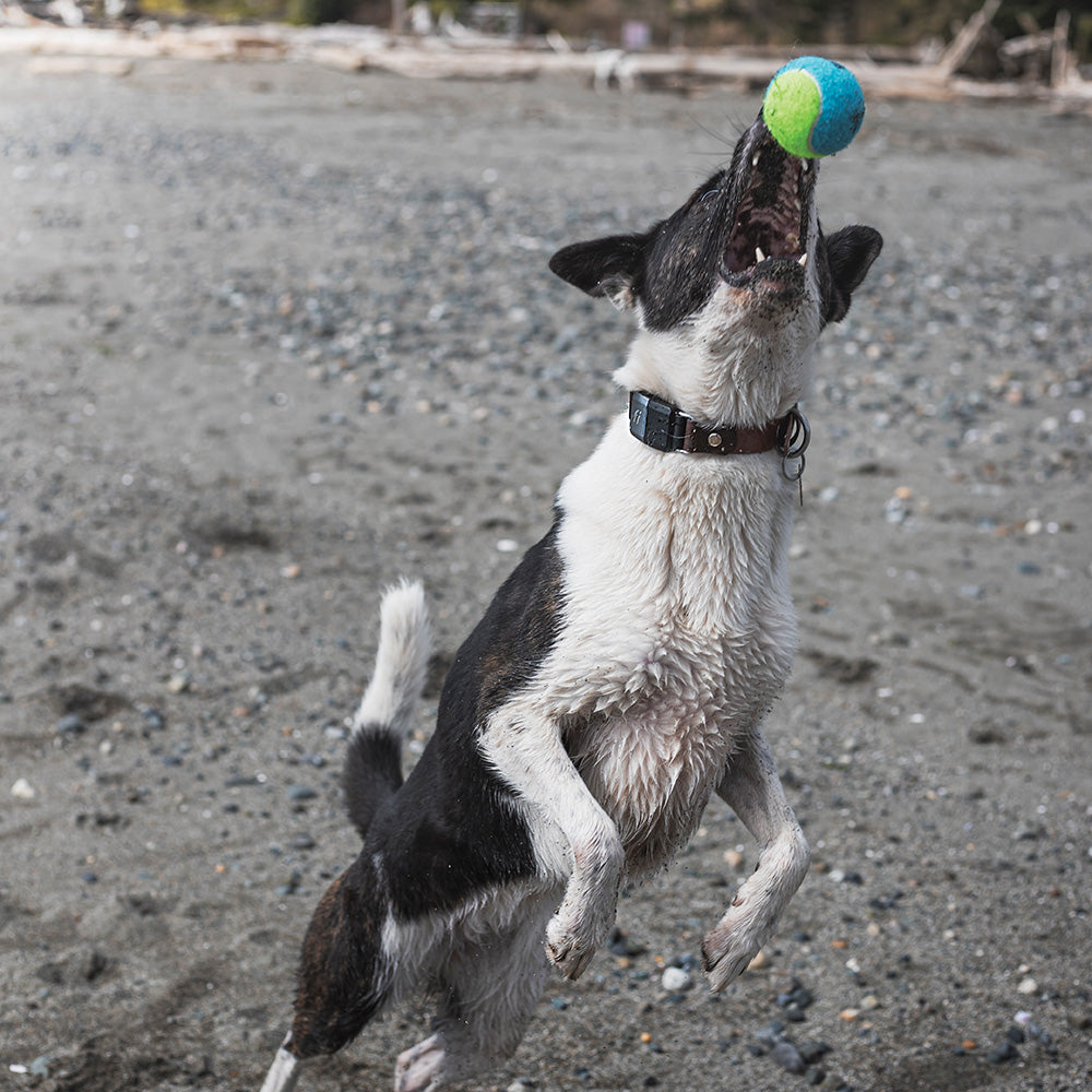 Tennis Balls, Each