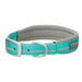 Mint reflective neoprene lined dog collar