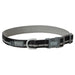 Reflective Neoprene Snap-N-Go Dog Collar