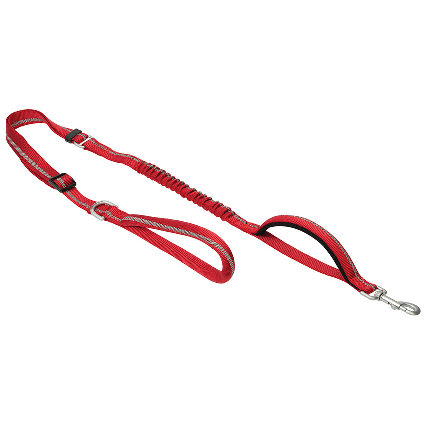 Bungee Leash - Terrain D.O.G. – Terrain Dog