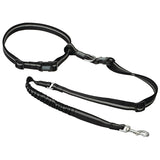 Hands-Free Leash Black