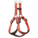 2-Tone Reflective Harness