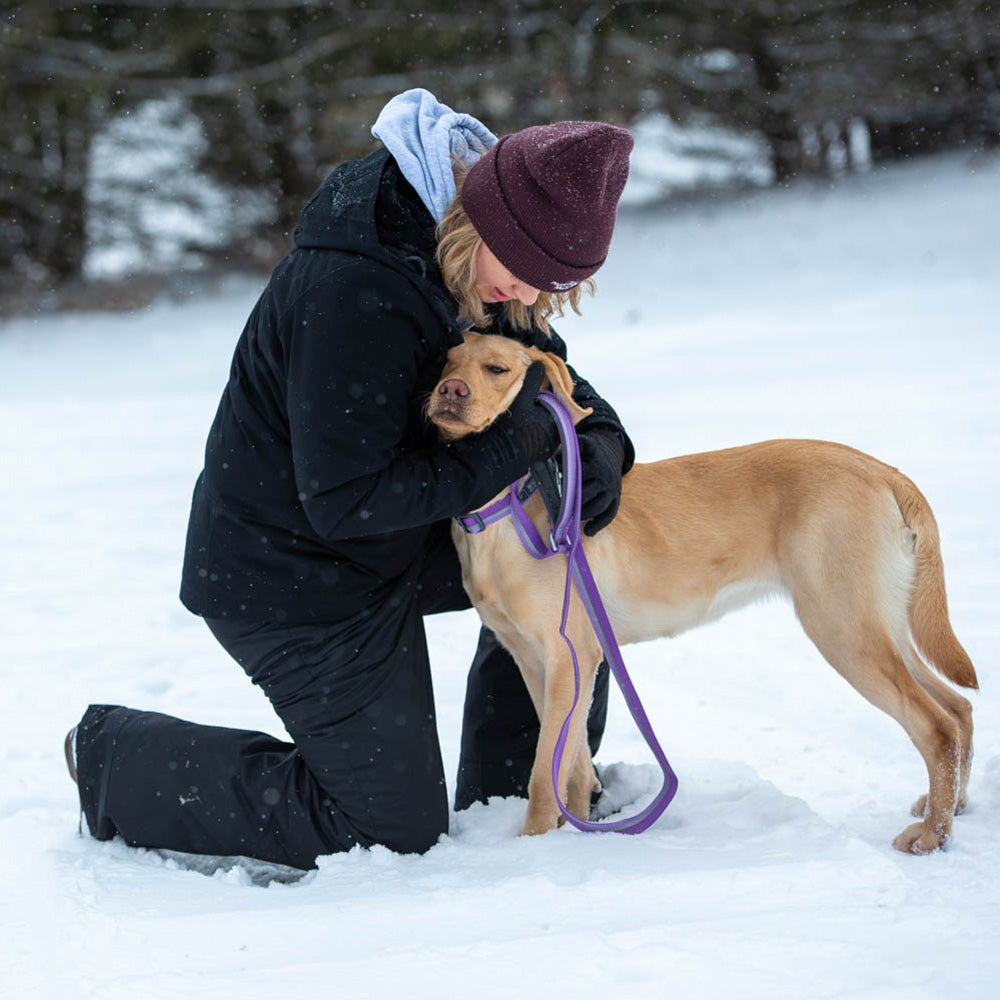 2-Tone Reflective Neoprene Lined Leash