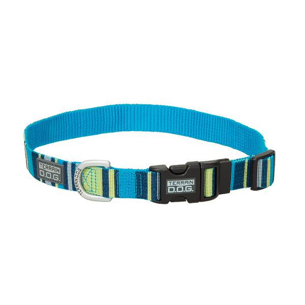 Patterned Snap-N-Go Adjustable Dog Collar, Navy/Lime