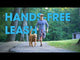 Hands-Free Leash Video