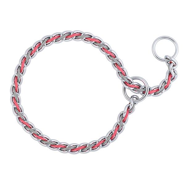 Slip chain 2024 dog collar