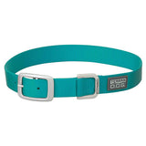 Nylon Single-Ply Dog Collar, Mint, 1" x 21"