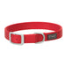 Double Ply Dog Collar