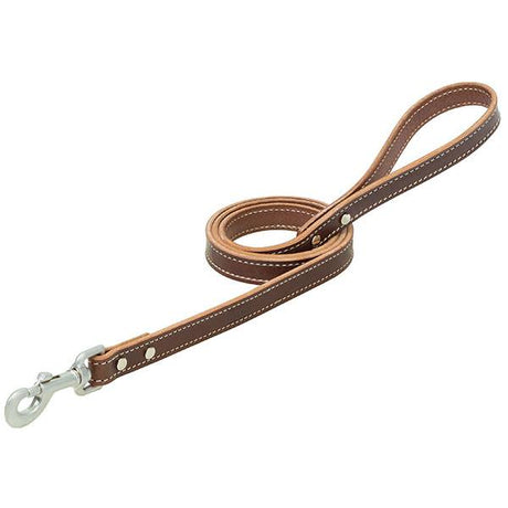 Bridle Leather Dog Leash, Brown, 3/4" x 6'