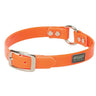 Brahma Webb ® Clear Coat Dog Collar, Blaze Orange, 3/4" x 17"