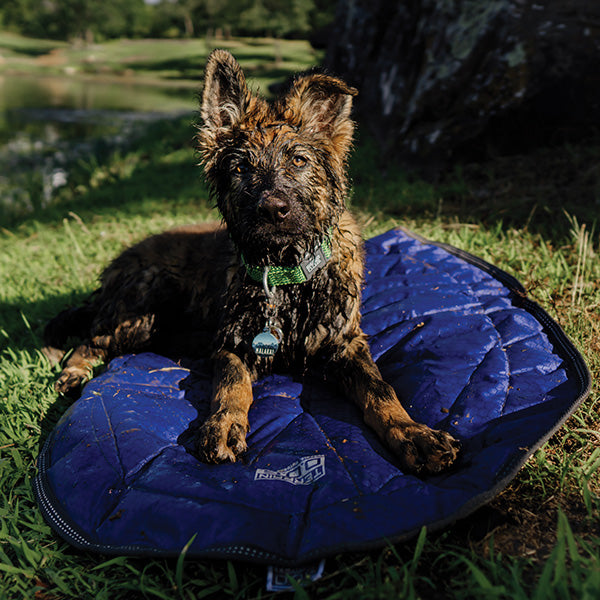 Lightly Insulated Pak-Pad