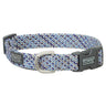 Elevation Snap-n-Go Collar, Sky Blue/Silver/Purple, MD