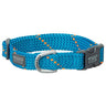 Elevation Snap-N-Go Collar, Blue/Orange, MD